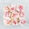 Some people dream of achieving fame and fortune in their lifetimes. Some