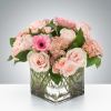 A soft and feminine way to spread cheer! Whether sending best wishes