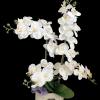 A beautiful real touch artificial orchid hand arranged in a ceramic pot.
