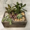This garden is such a great gift for the succulent lover in