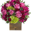 Lovely at first sight. Green miniature hydrangea and lavender roses come together