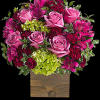 Lovely at first sight. Green miniature hydrangea and lavender roses come together
