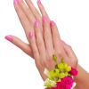 Order a Fresh Flower Corsage or Boutonniere for Your Prom Date, Mother&#039;s