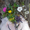 Our bright and vivid Blooming Plant Bucket will bring smiles!  Hot