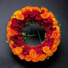 A stunning sympathy tribute of rows and rows of roses in all