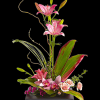 Escape into your very own a tranquil Zen Garden with this serenely