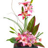 Escape into your very own a tranquil Zen Garden with this serenely