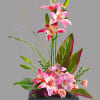 Escape into your very own a tranquil Zen Garden with this serenely