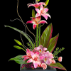 Escape into your very own a tranquil Zen Garden with this serenely
