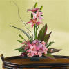 Escape into your very own a tranquil Zen Garden with this serenely