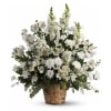 Same Day Flower Delivery
This exquisite bouquet includes white alstroemeria, snapdragons, stock and