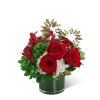 Good as Gold blooms with vibrant reds, greens, and gold in a