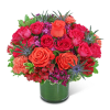 This bright and cheery design packs a punch with its lush Roses