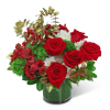 Cupid&#039;s Gold blooms with vibrant reds, greens, and gold in a leaf-lined