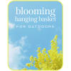 A beautiful seasonal hanging basket is a great selection this Mother&rsquo;s Day.