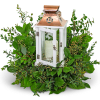 Our Wings of Peace Lantern is a stunning arrangement of premium foliage