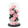 This  Forever Rose ,Tall 10 inch Coming With A Gift Box