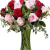 Bouquet of 6 pink and 6 red roses surrounded by lush greenery.