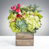 You&rsquo;re going home for the holidays, shouldn&rsquo;t your flowers get the same