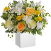 Everyone adores this stunning springtime surprise, with its fresh white and yellow