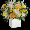 Everyone adores this stunning springtime surprise, with its fresh white and yellow
