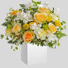 Everyone adores this stunning springtime surprise, with its fresh white and yellow