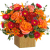 Artfully arranged in a wooden box, this magnificent rose bouquet celebrates the