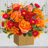 Artfully arranged in a wooden box, this magnificent rose bouquet celebrates the