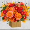 Artfully arranged in a wooden box, this magnificent rose bouquet celebrates the