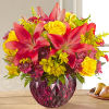 Glowing with autumn&#039;s natural beauty captured in blushing blooms, this stunning flower