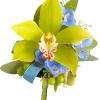 Order a Fresh Flower Boutonniere for Your Prom Date, Wedding, or other