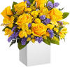 Cool and contemporary meets bright and fun! Cheerful yellow roses get a