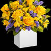 Cool and contemporary meets bright and fun! Cheerful yellow roses get a