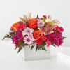 From life&#039;s big moments to sweet just because sentiments, the Light of
