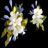 Order a Flower Corsage or Boutonniere for Your Prom, or other Special
