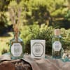 SCENTED CANDLE - 100% VEGETABLE WAX
Rosemary Candle
Rosmarinus
A herb of crowns and troubadours.