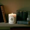 Indulge in the rich and aromatic fragrance of Bay Laurel with the