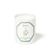 Carriere Freres Thyme (Thymus) Candle: Thyme is a delicate looking herb with
