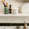 SCENTED CANDLE - 100% VEGETABLE WAX
Jasmine Candle
Jasminum Officinale
Its name comes from the