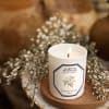 SCENTED CANDLE - 100% VEGETABLE WAX
Jasmine Candle
Jasminum Officinale
Its name comes from the