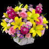 Bring joy and color to your celebration with the Bright Lights Arrangement.