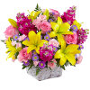 Bring joy and color to your celebration with the Bright Lights Arrangement.