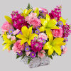 Bring joy and color to your celebration with the Bright Lights Arrangement.