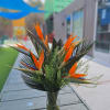 A bold and modern mix of Birds of Paradise, Sago palm, and