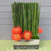 Simple and contemporary perfectly describes this design of pincushion Protea and horsetail.