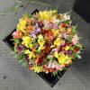I&#039;ts a Vibe! 100 Alstroemerias bouquet

Brighten up someone&#039;s day with this amazing
