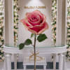 Pink Glitter Rose wrapped with Babies Breath and Greenery
