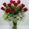 One Dozen Red Roses With Baby's Breath
deluxe 18 stems
premium 24 stems 