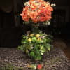 Orange rose garden with herbs, citruses, and green apples. This joyful composition