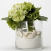 Seashells, white sand and Green hydrangea....takes you to the beach every time!!!